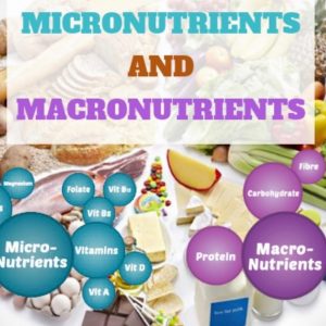 The roots of nutrition