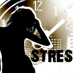 How stress harm your entire body.