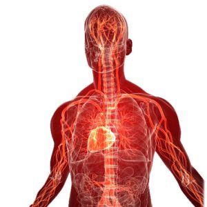 The body generates energy all the time.