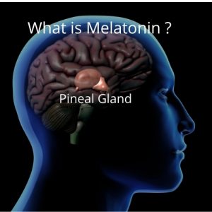 Melatonin is a hormone secreted in the pineal gland.