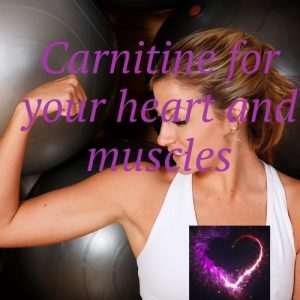 L-Carnitine transports fats in the form of fatty acids to the mitochondria